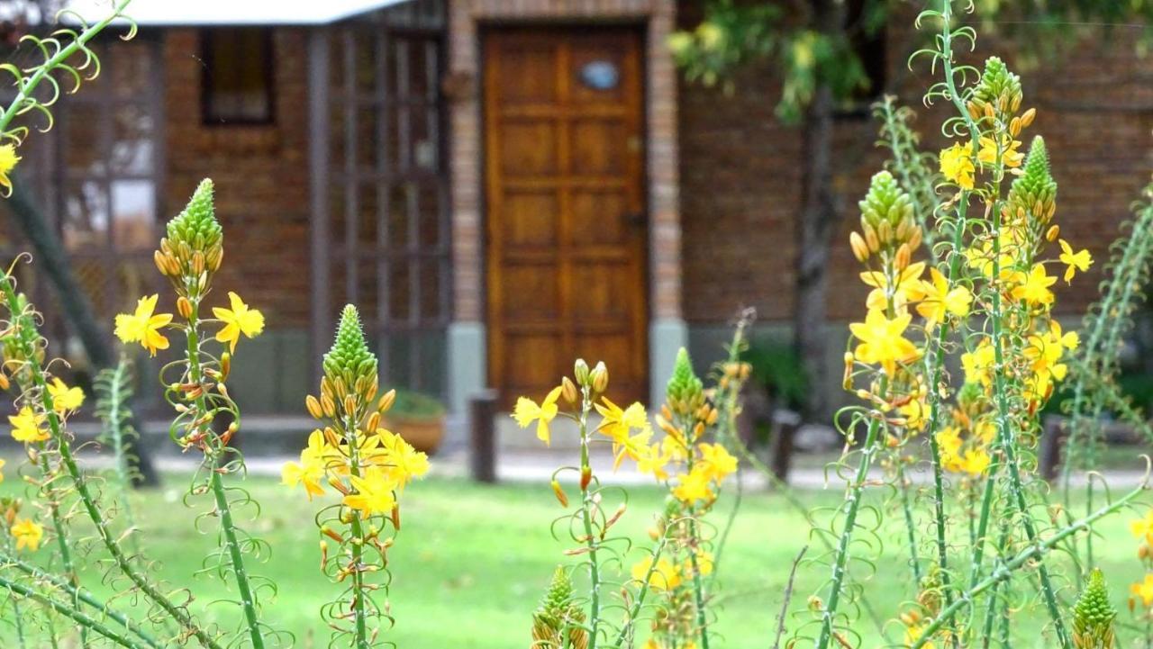 Cabanas Agua Que Brilla Міна-Клаверо Екстер'єр фото